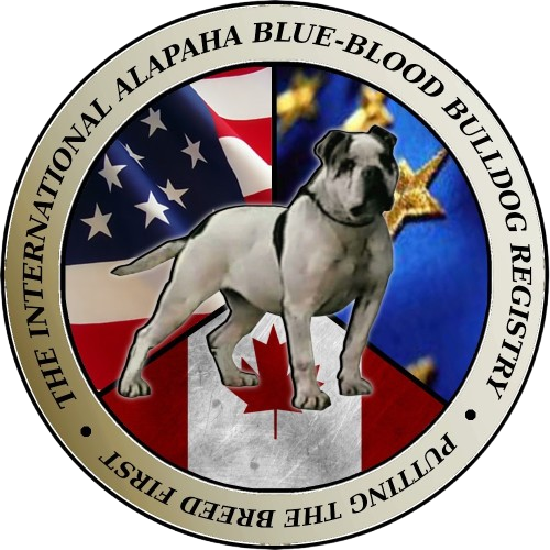 IABBR Logo